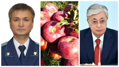 «Остановите беспредел прокуратуры!»: Токаева просят защитить алматинский апорт