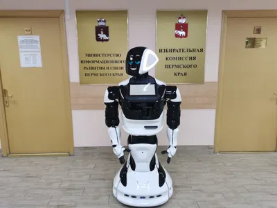 Робот выдвинул в депутаты свою кандидатуру в России