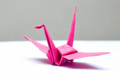 Экологическую замену пластику придумали в Японии