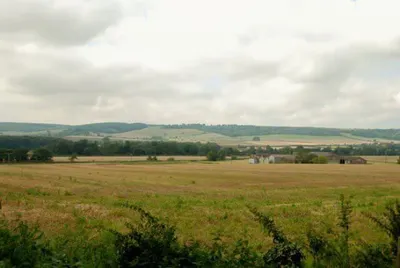 Около 230 га земли возвращено государству в Западном Казахстане