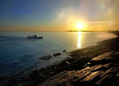 К Балхашу идет «большая чистка»