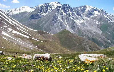 Две волны похолодания в апреле прогнозируют синоптики в Казахстане
