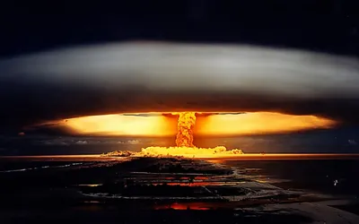 Ученые обнаружили радиоактивных ракообразных на дне Тихого океана