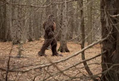 В Казахстане есть люди, которые подкармливают йети