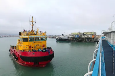 Утечку нефтяных отходов в Каспий проверяют экологи Мангистау