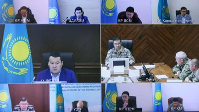 Премьер дал поручение по ликвидации пожара в области Абай