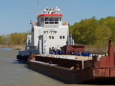 На дезинсекцию в Павлодарской области выделено почти 500 млн тенге