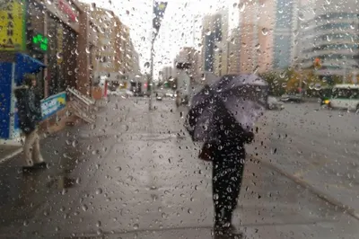 Заморозки прогнозируют синоптики в Нур-Султане