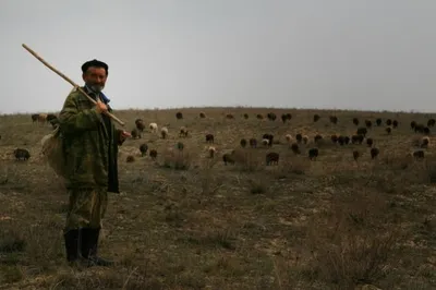 Сельское хозяйство Алматинской области на грани кризиса