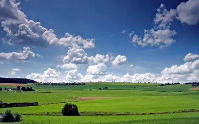 Незаконная продажа земли пресечена в нескольких районах Узбекистана