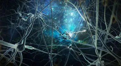 Человек принимает решение раньше, чем осознает его