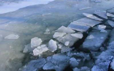 Специальную группу по расследованию гибели троих детей создадут в Алматы