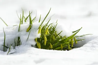 Народные приметы: не время давать обещания