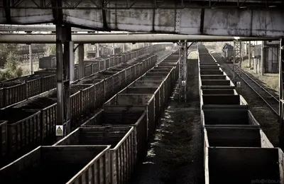 Мальчик из Щучинска уехал от опекунов в вагоне с углем