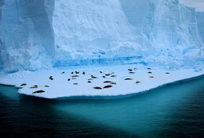 Озоновая дыра над Антарктидой стала в два раза больше континента