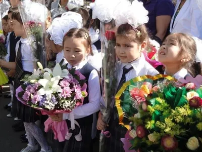 В этом году будет свыше 250 тыс. казахстанских первоклашек