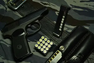 В Вене задержаны 22 уроженца Чечни с оружием