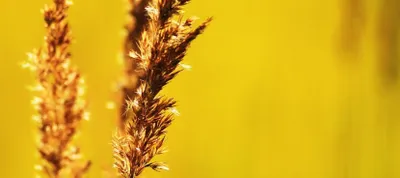 Алматы ожидает 42-градусная жара