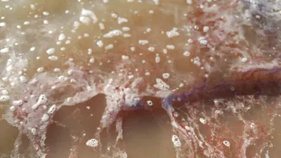 Павлодарцы просят спасти соленые озера от криминалитета