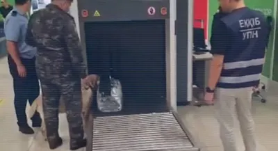 Крупную партию марихуаны изъяли при досмотре в аэропорту Алматы