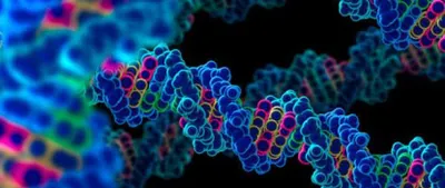 83% россиян приходятся друг другу родственниками