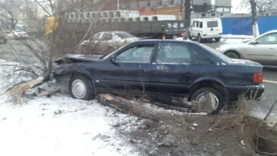 В Алматы автомобиль снес дерево
