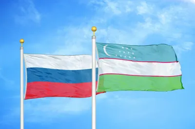 Взаимные сельхозпоставки наладят Россия и Узбекистан