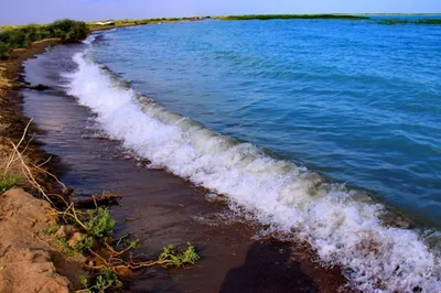 Пытаясь спасти дочь, мужчина утонул в Аксу