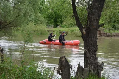 Трехлетнюю девочку, пропавшую возле реки, ищут в Алматинской области. ФОТО