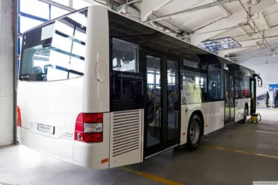 Автобусы новых видов стал выпускать сборочный завод в Семее