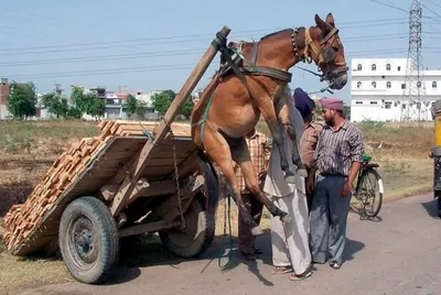 Штрафы за перегруз казахстанцам придут на дом