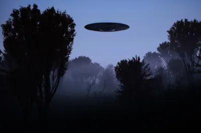 Странный объект пролетел над полем во Флориде