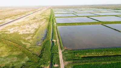 Более 15 тысяч га посевных площадей восстановили в Кызылординской области