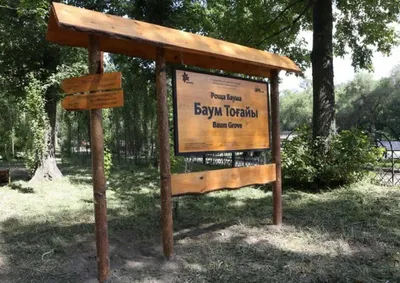 В собственность Алматы возвращены захваченные земельные участки в роще Баума