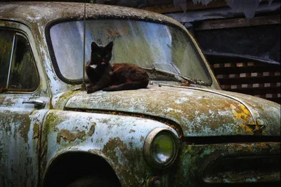 90% авто в Казахстане старше семи летЭксклюзив