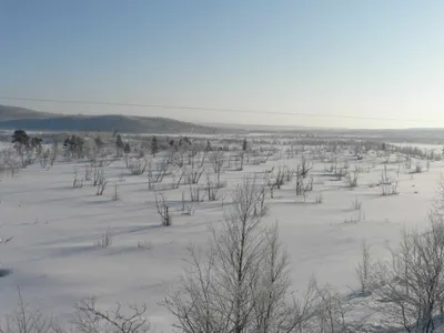 Пропавших в степи детей нашли полицейские Атырауской области