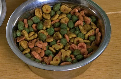 В Петербурге запретили ввоз корма из США