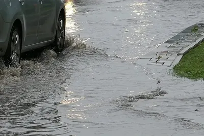 Дождливая погода придет в Казахстан