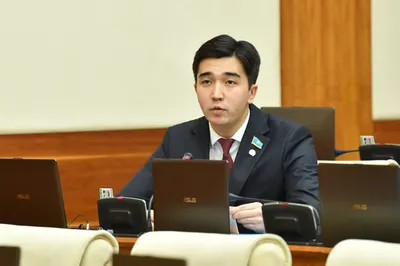 Предложивший установить памятник Назарбаеву экс-депутат получил новую должность