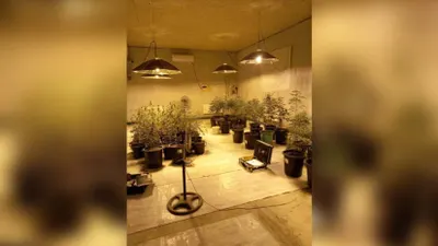 Три подпольные нарколаборатории выявили в Актобе