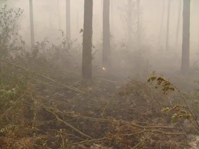 Павлодар накрыла загадочная дымка