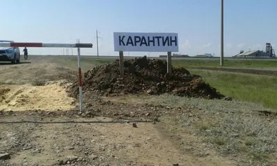 В Павлодарской области снят карантин: инфицированных людей готовят к выписке