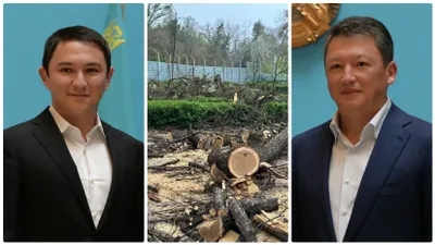 Алматинцы против строительства семьей Кулибаевых кафе «Акку» в сквере