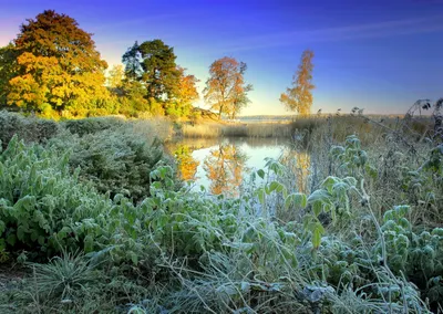 Заморозки ожидаются в области Жетісу