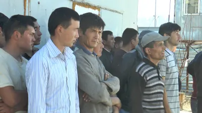 85 гастарбайтеров незаконно работали над возведением жилого массива