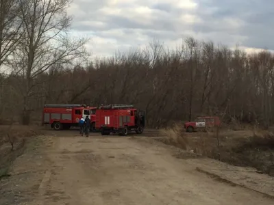 Крупный лесной пожар потушили в Павлодаре