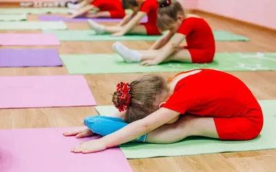 Осужденные за организацию притонов работали по программе Art Sport – депутат