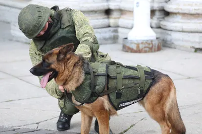 Двенадцать школ «заминировали» в Караганде