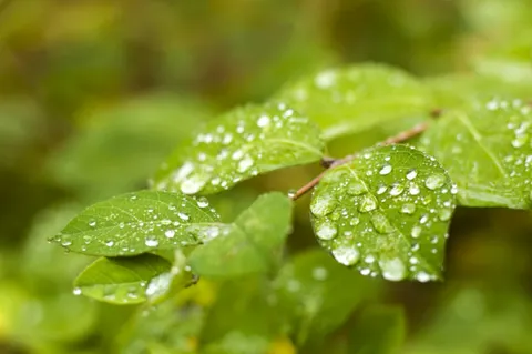 Неустойчивая погода сохранится на большей части Казахстана