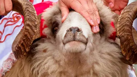 В Астане определены места для проведения жертвоприношений на Курбан-айт